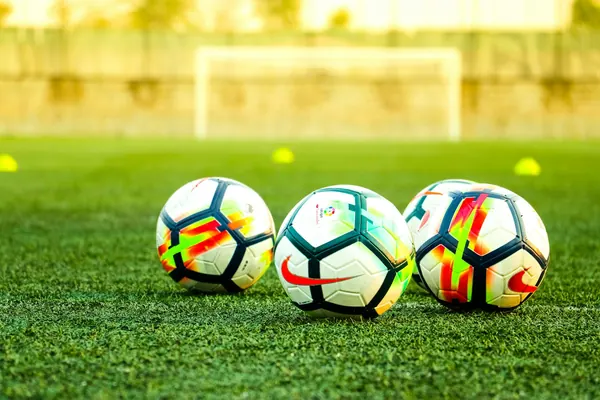 Soccer balls lined up on the grass in front of a goal